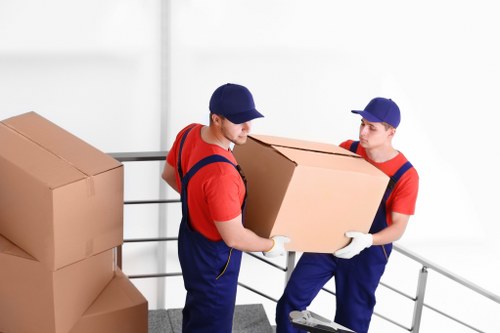 Internal assessment of a removals complaint with evidence and notes