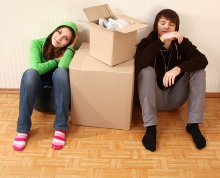 Illustration of a cookie policy update notice for Removals Belgium