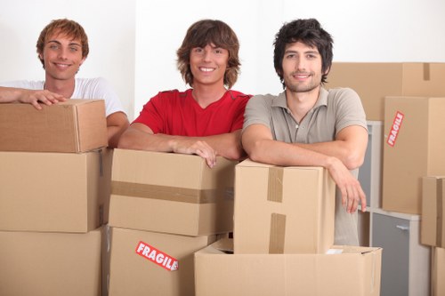Final complaint record and resolution summary for a removals case
